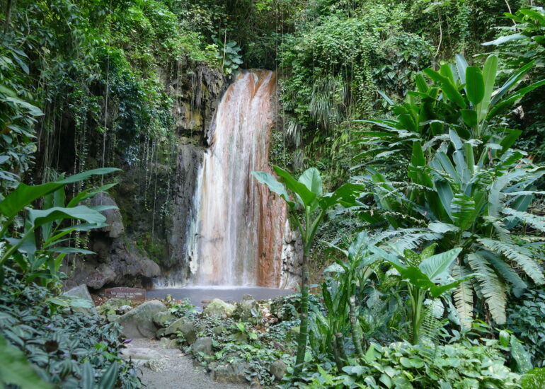 45. Soufriere, le jardin botanique, la cascade