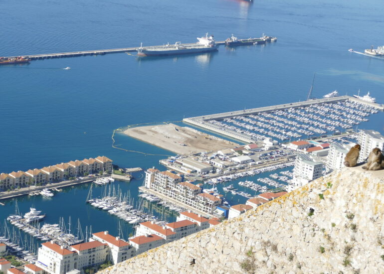 46. Gibraltar, sur le rocher