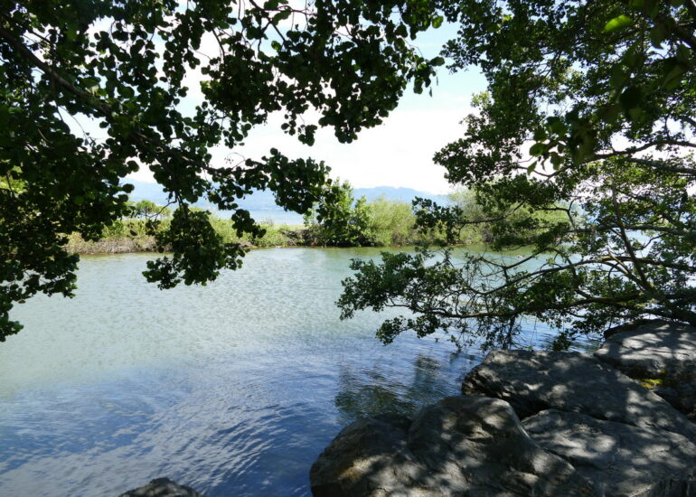 46. Lac Léman - Rolle et le vignoble suisse