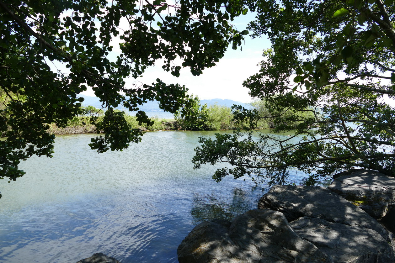 46. Lac Léman - Rolle et le vignoble suisse