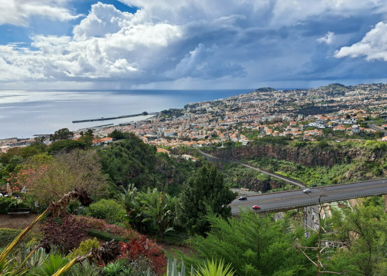 46. Madère, Funchal, le jardin botanique