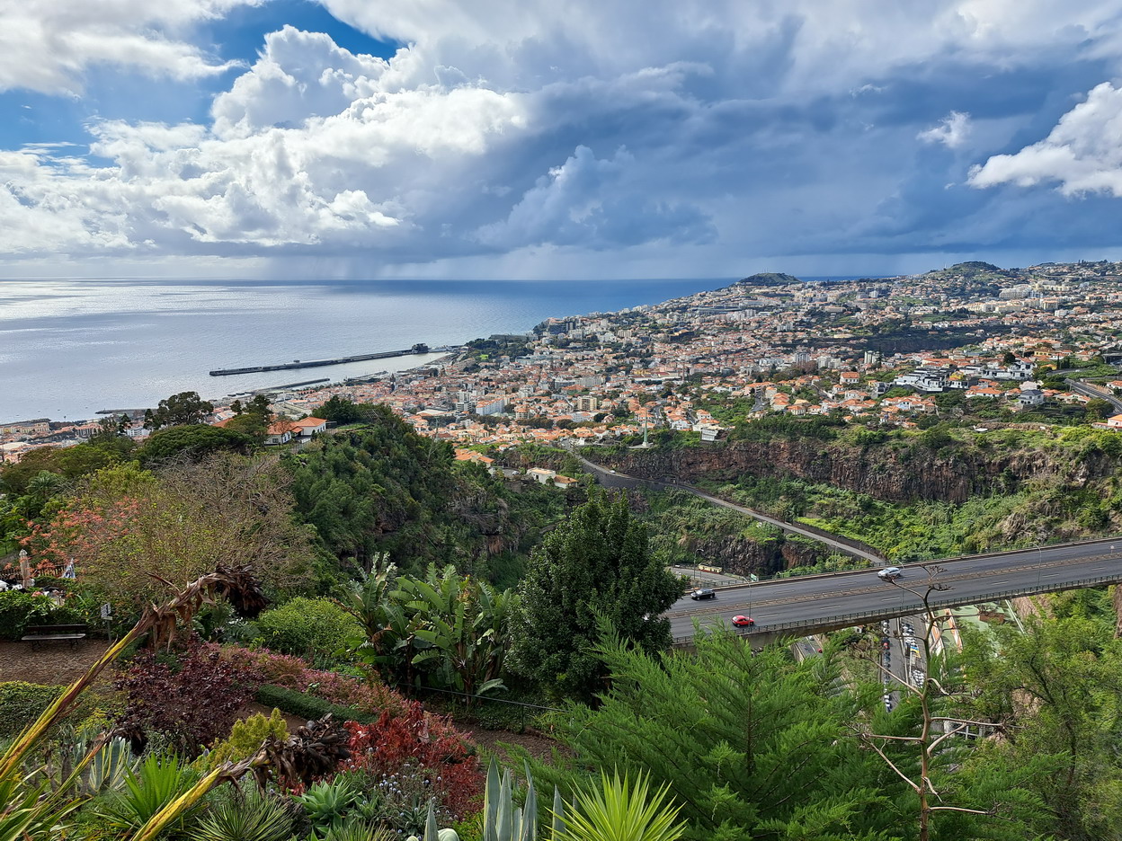46. Madère, Funchal, le jardin botanique