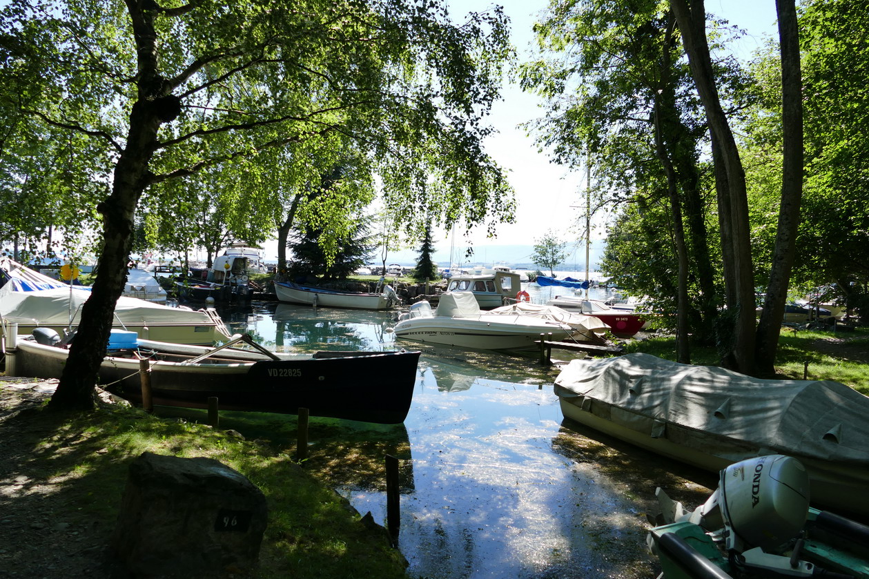 47. Lac Léman - Rolle et le vignoble suisse