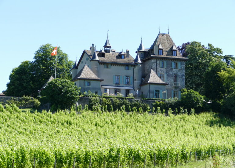 47. Lac Léman - l'arrière-pays, en allant vers Genève