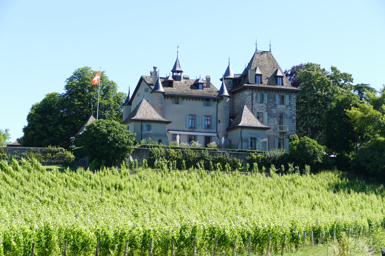 47. Lac Léman - l'arrière-pays, en allant vers Genève