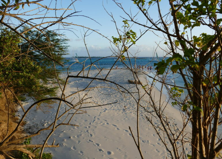 47. Les Tobago cays, la petite plage de l'îlet Baradal
