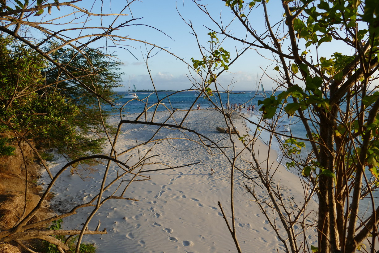 47. Les Tobago cays, la petite plage de l'îlet Baradal