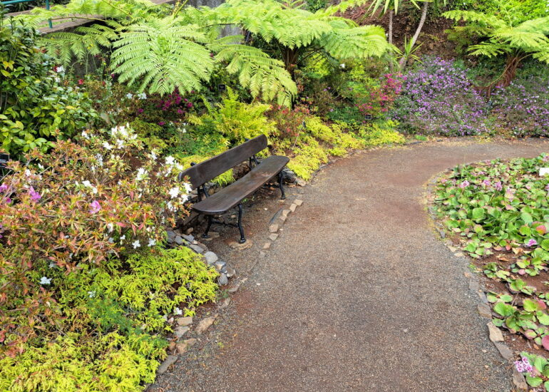 47. Madère, Funchal, le jardin botanique