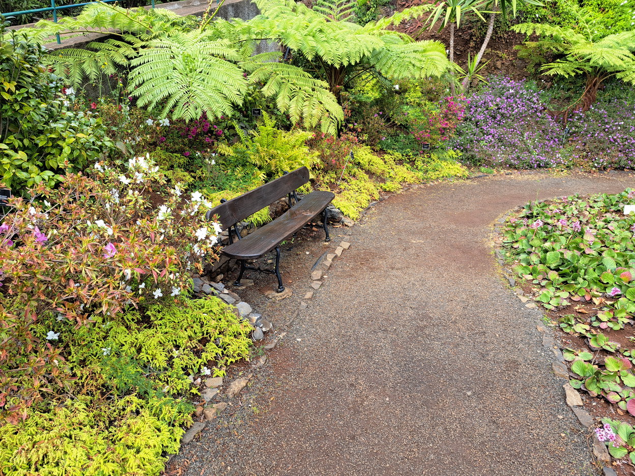 47. Madère, Funchal, le jardin botanique