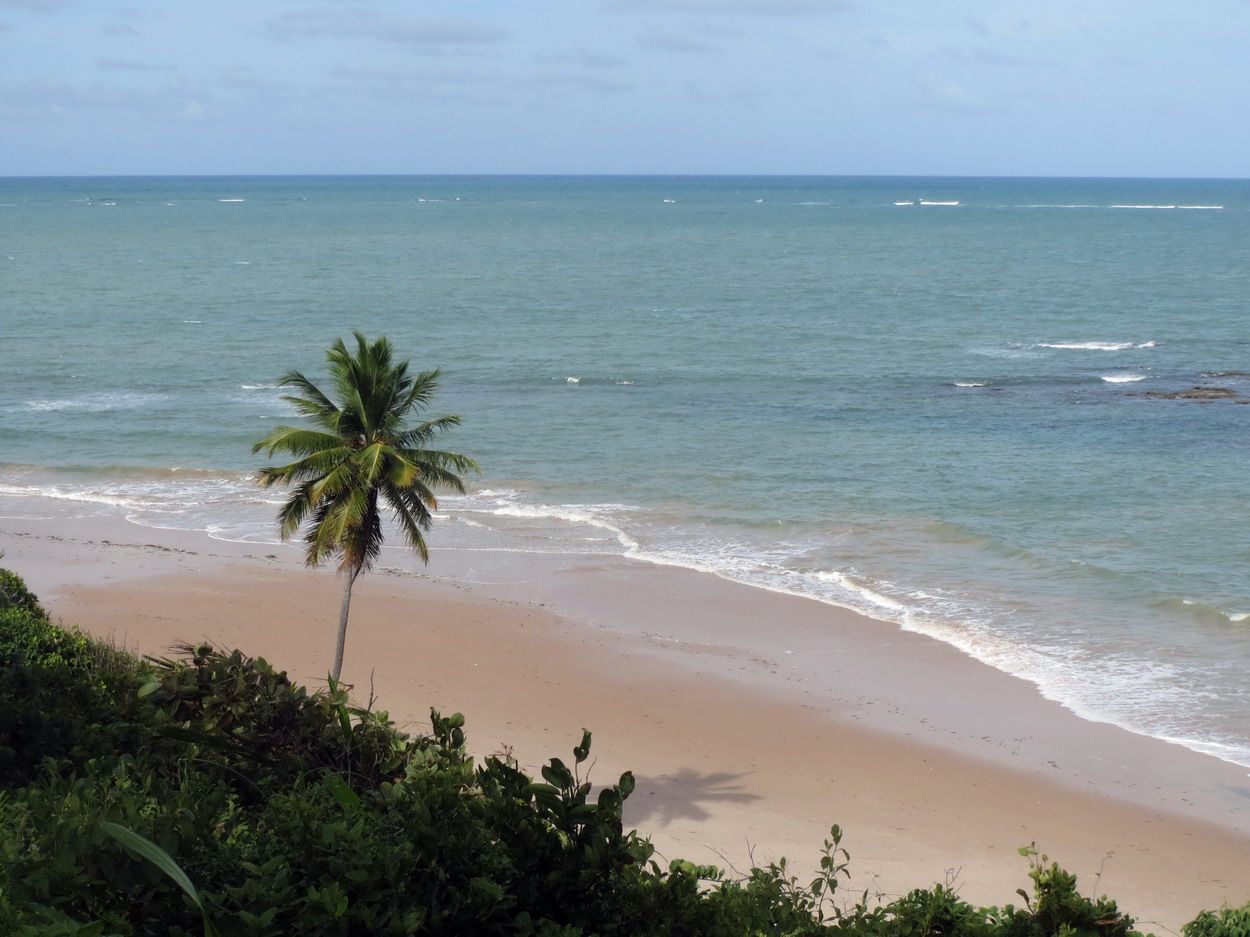 47. Plage de Carapibus avec sa double ceinture de récifs coralliens