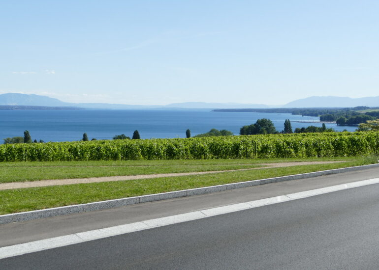 48. Lac Léman - Rolle et le vignoble suisse