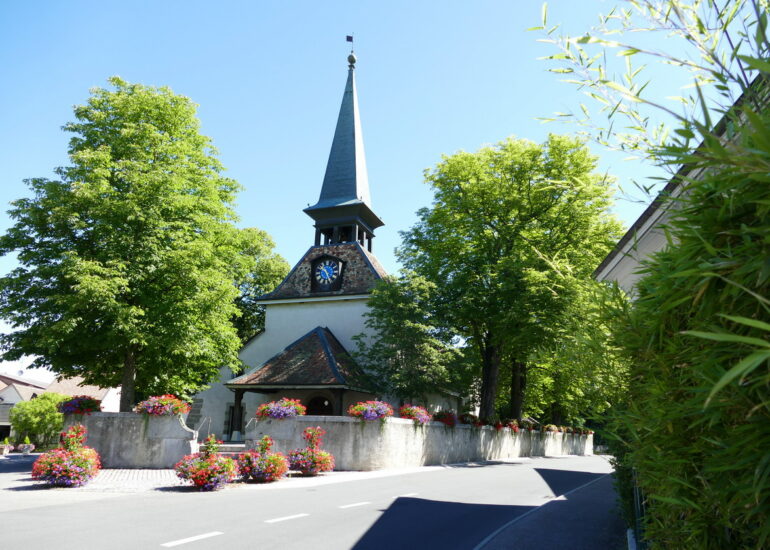 48. Lac Léman - l'arrière-pays, en allant vers Genève