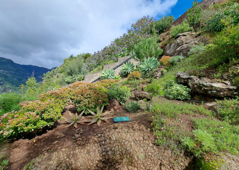 48. Madère, Funchal, le jardin botanique