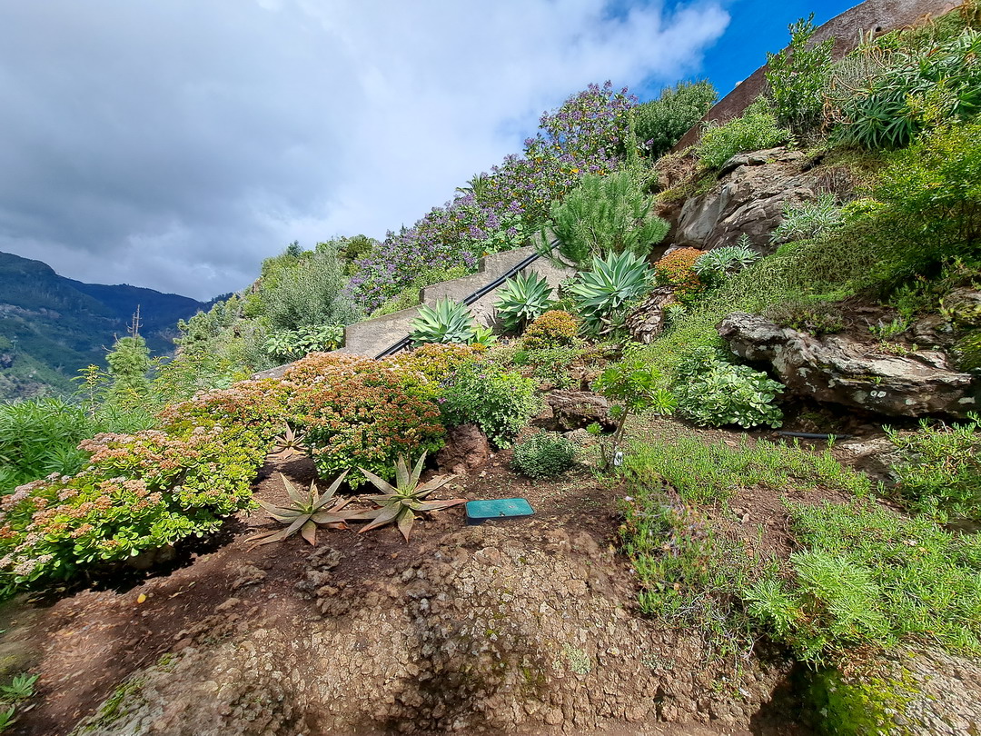 48. Madère, Funchal, le jardin botanique