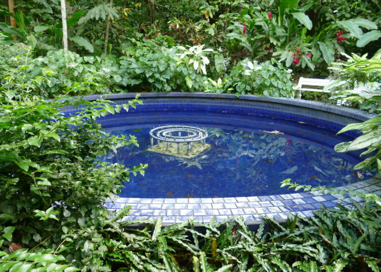48. Soufriere, le jardin botanique