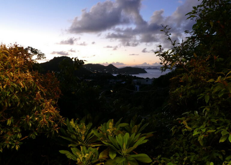 48. St Barth