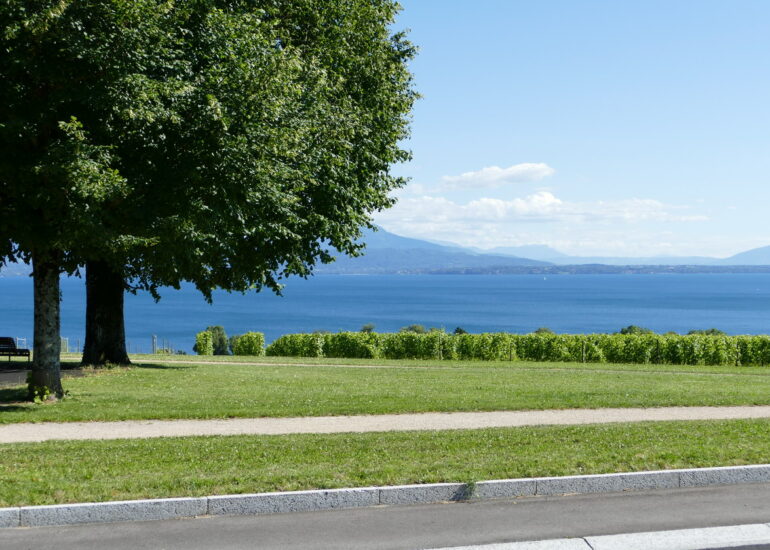 49. Lac Léman - Rolle et le vignoble suisse