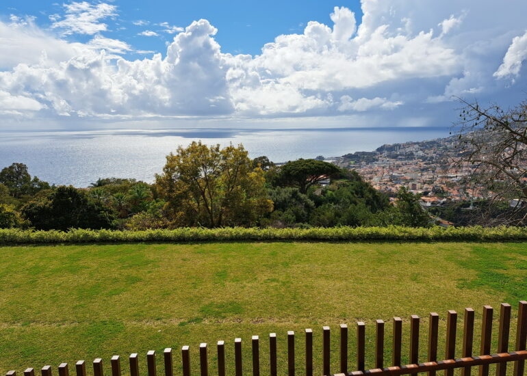 49. Madère, Funchal, le jardin botanique