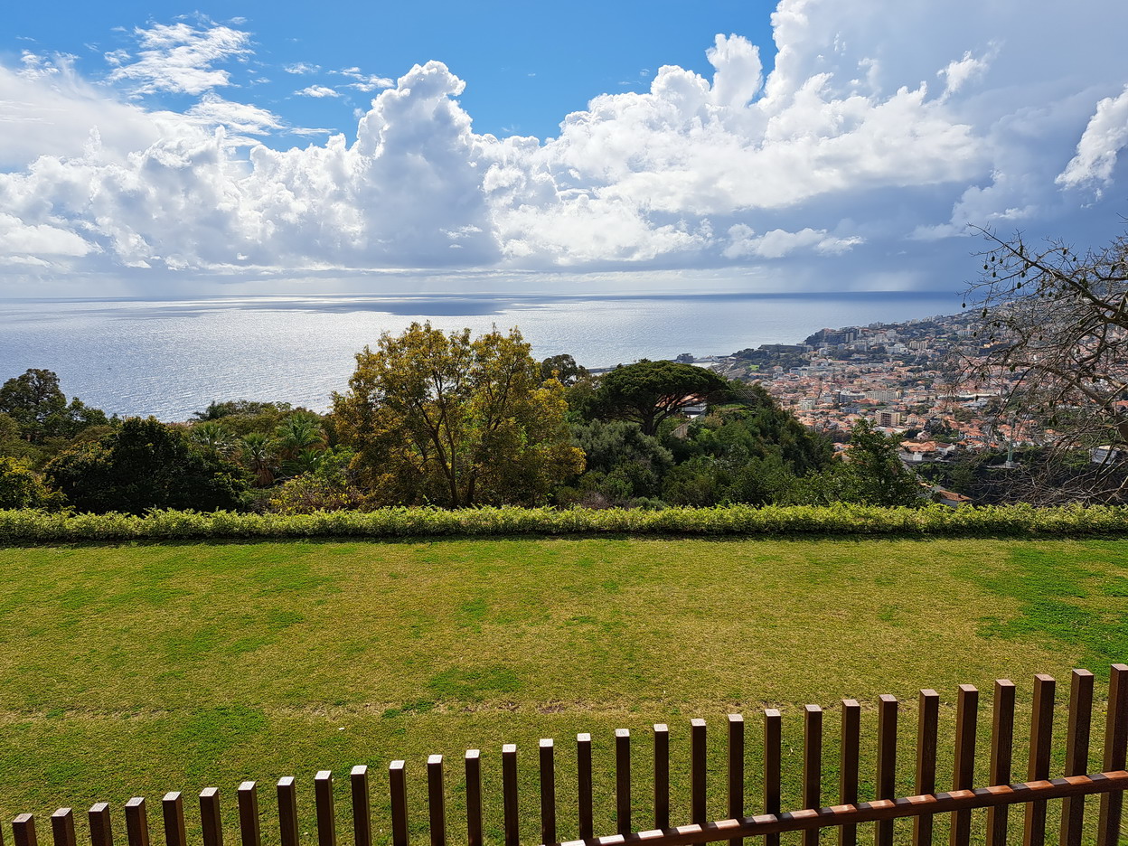 49. Madère, Funchal, le jardin botanique