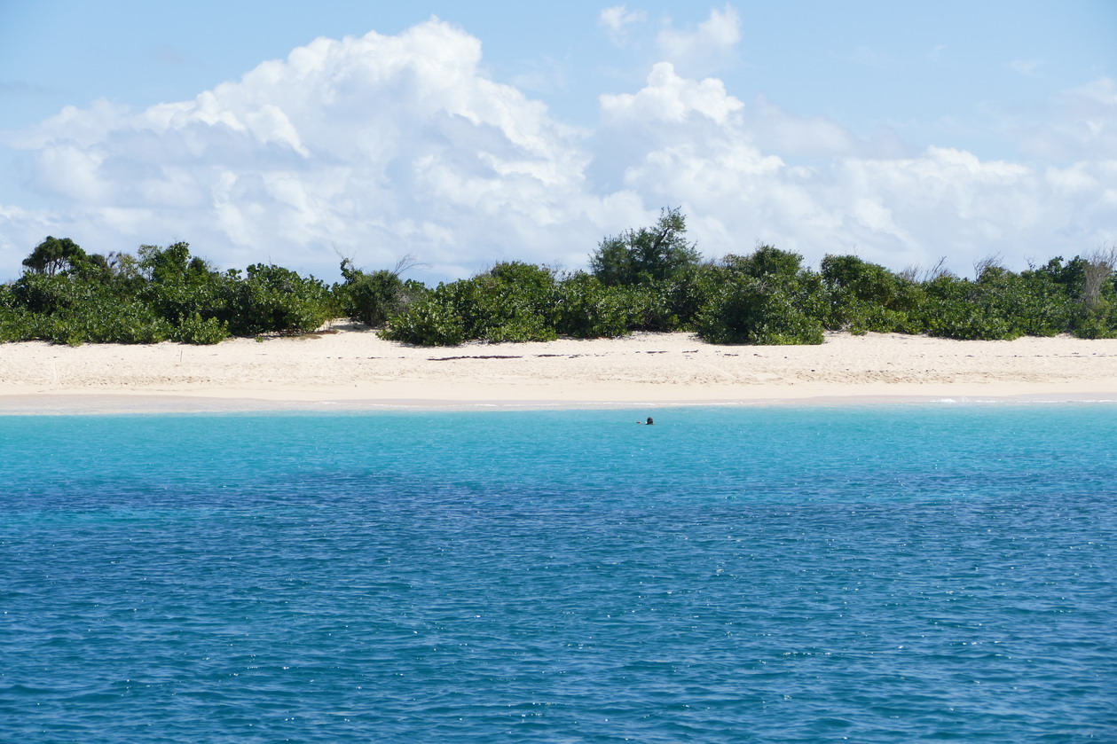 49. St Martin, plage de l'îlot Tintamarre