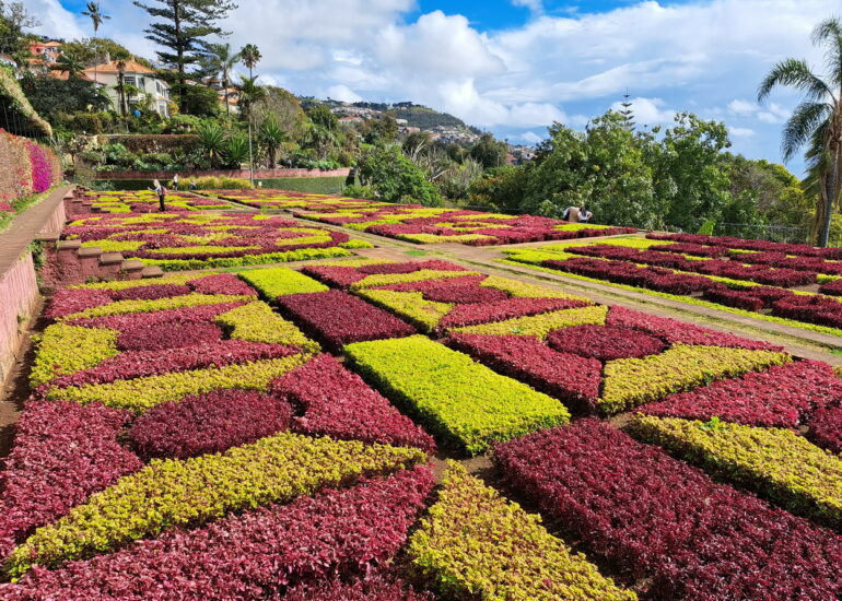 50. Madère, Funchal, le jardin botanique