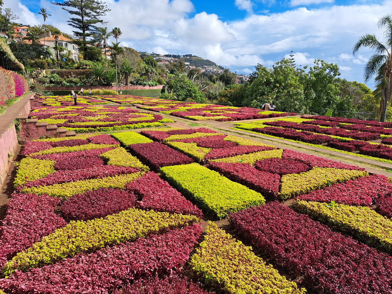 50. Madère, Funchal, le jardin botanique