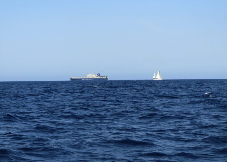 46. Sur notre route vers Palma