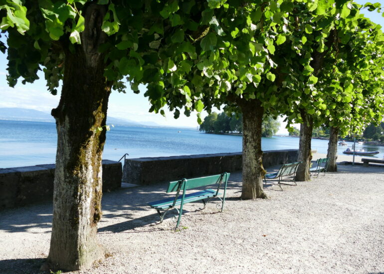 52. Lac Léman - Rolle et le vignoble suisse