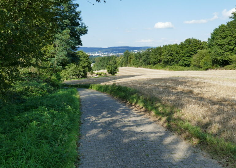 49. Quand on rejoint la vallée de la Moselle, ça grimpe !