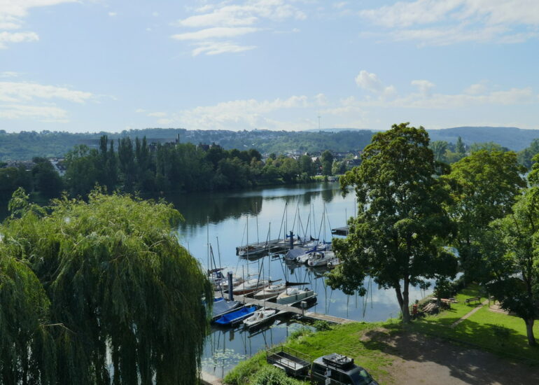 50. La vallée de la Moselle
