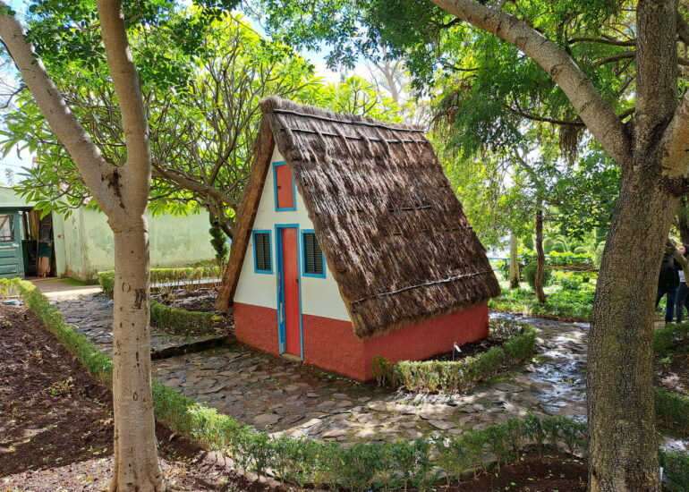 53. Madère, Funchal, le jardin botanique