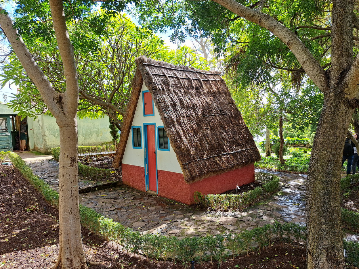 53. Madère, Funchal, le jardin botanique