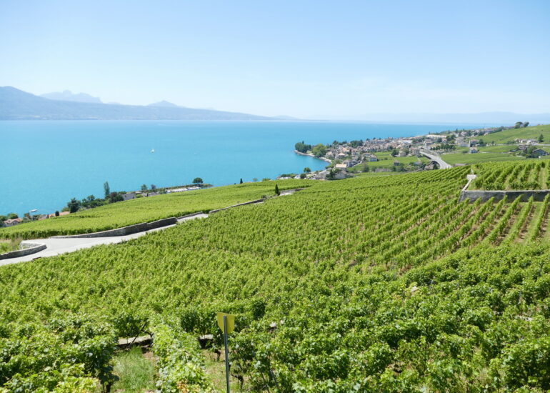 54. Lac Léman - Rolle et le vignoble suisse
