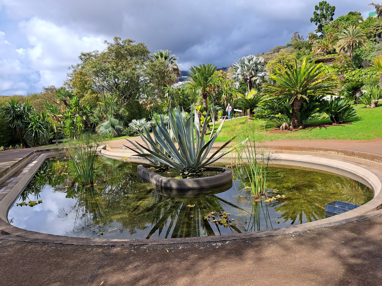 54. Madère, Funchal, le jardin botanique