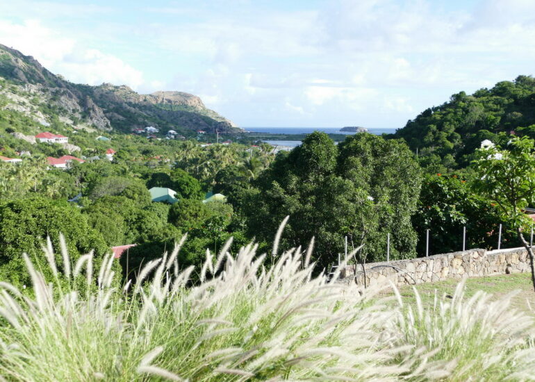 53.St Barth