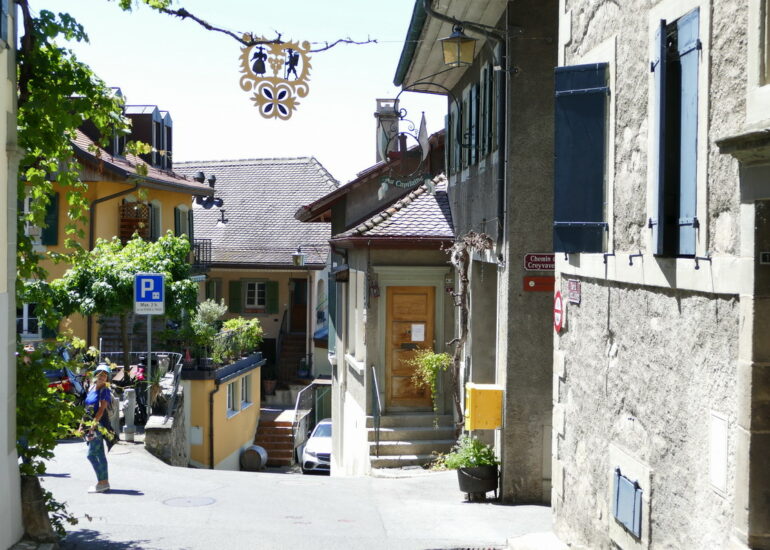 55. Lac Léman - Rolle et le vignoble suisse