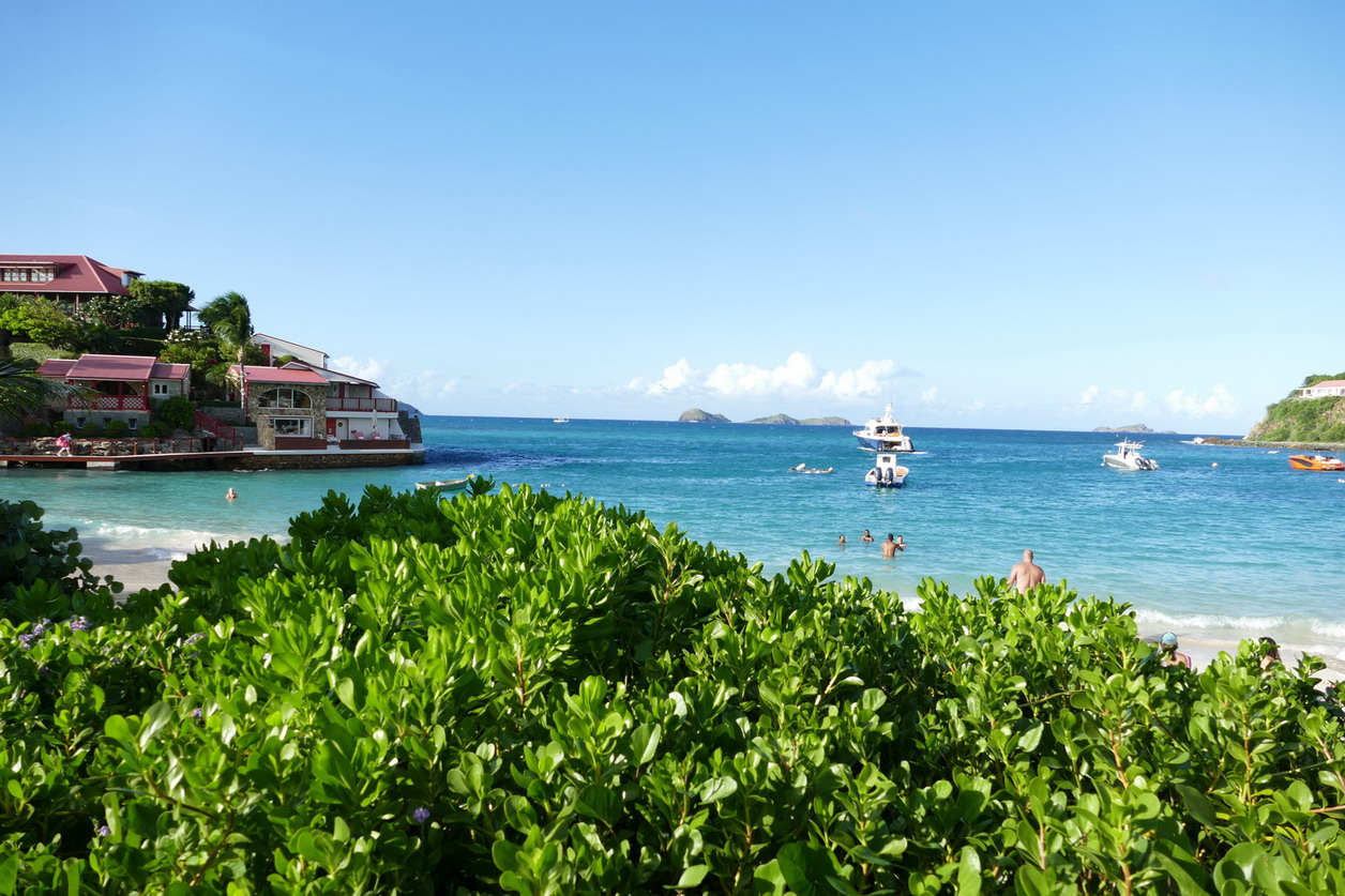 55. St Barth, du côté de St Jean