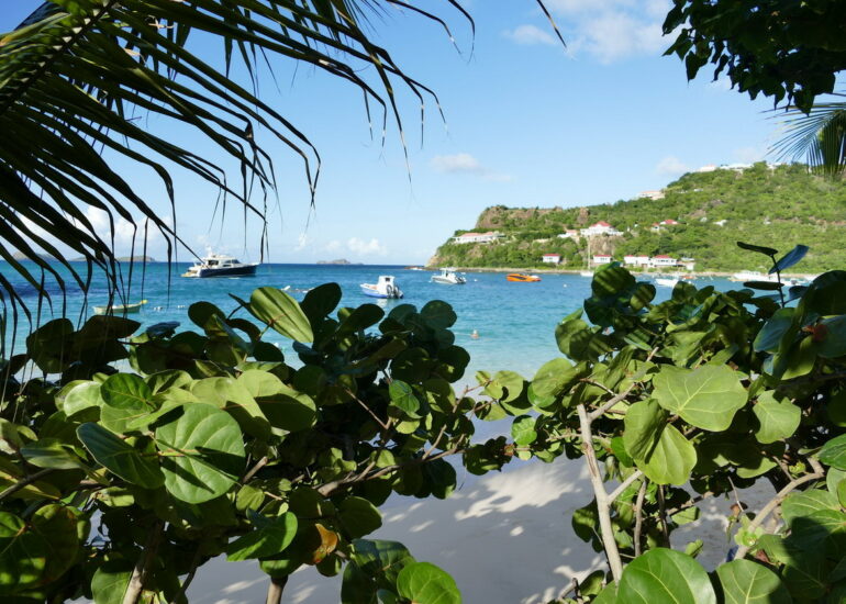 56. St Barth, du côté de St Jean