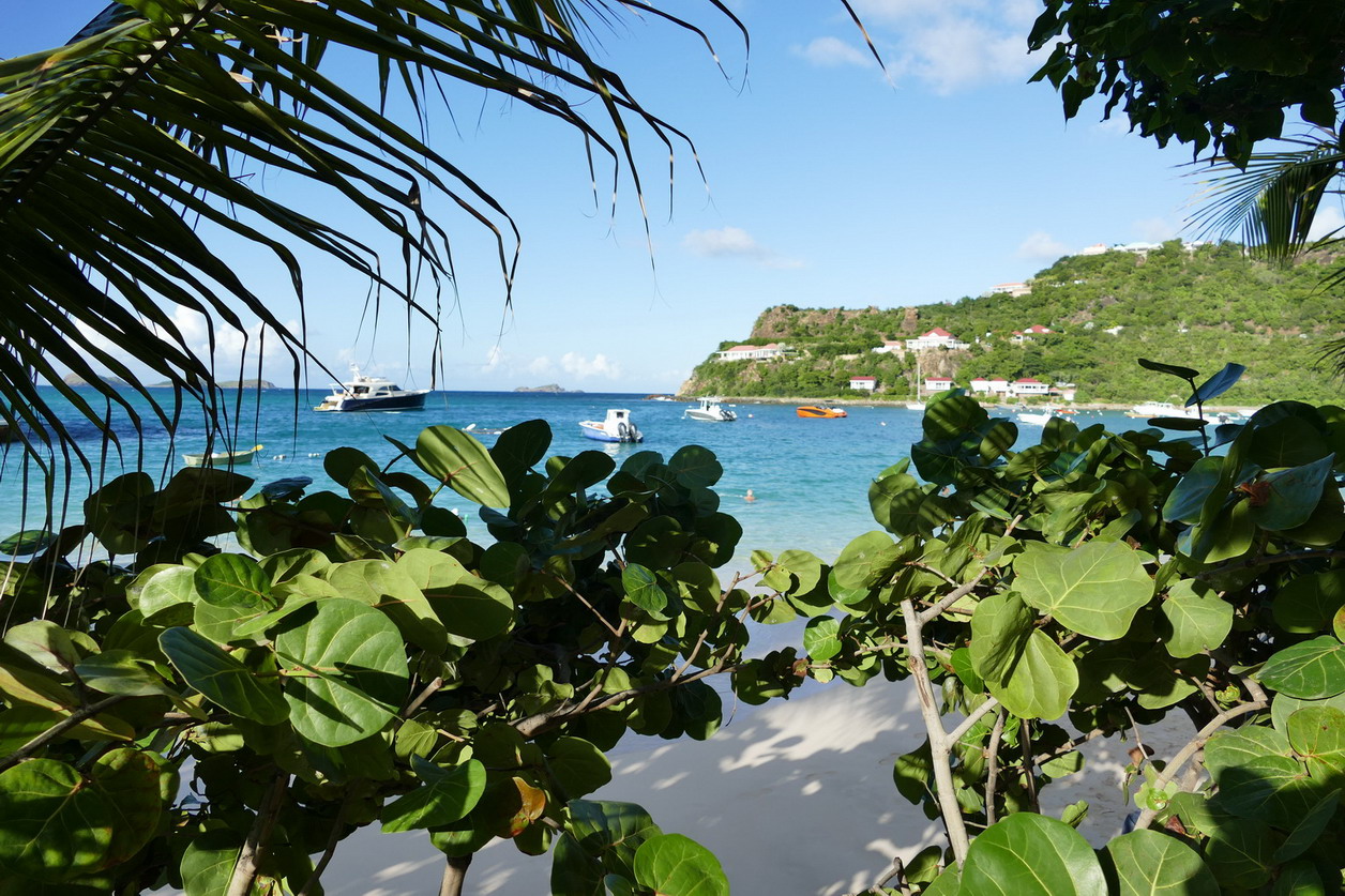 56. St Barth, du côté de St Jean