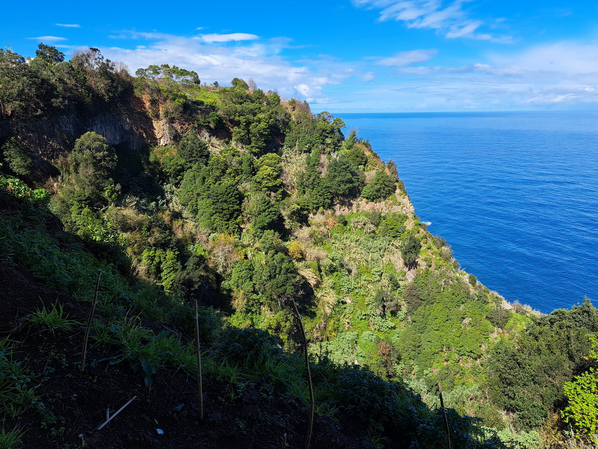 60. Madère, la côte au nord