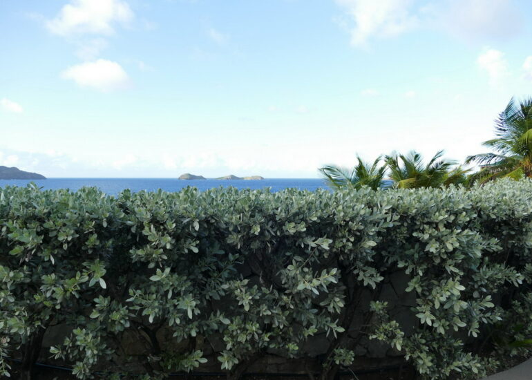 59. St Barth, du côté de St Jean