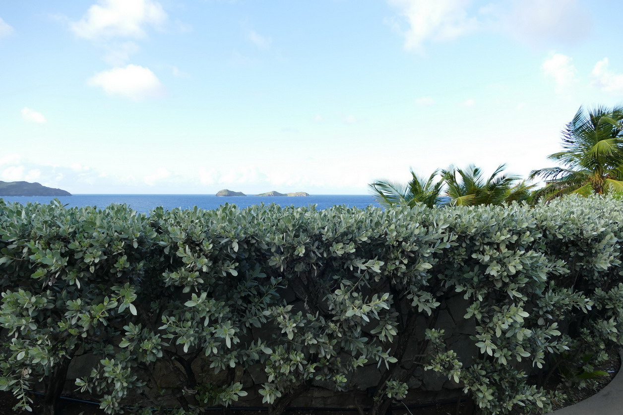 59. St Barth, du côté de St Jean