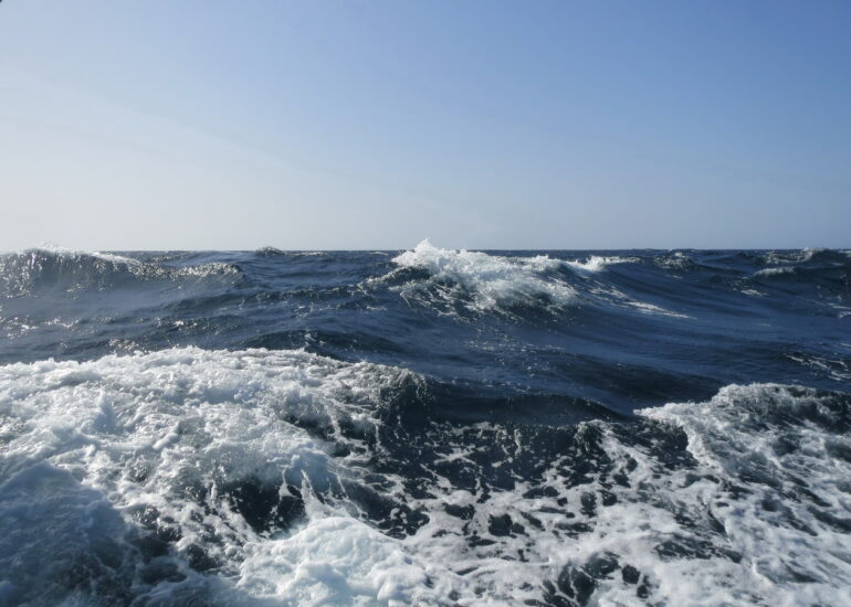 7. En mer