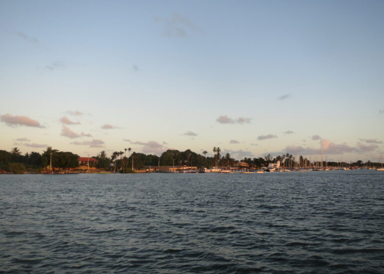 7. Jacaré, notre destination