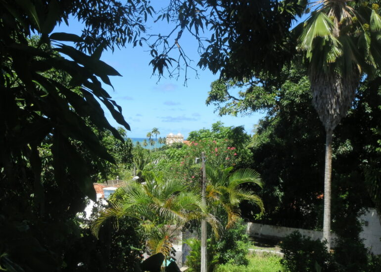 7. Visages d'Olinda