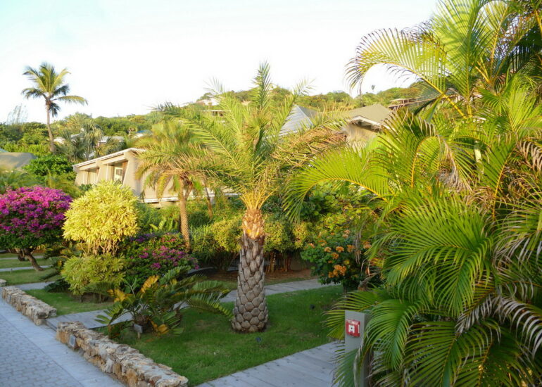 69. St Barth, au luxueux hôtel St Christopher