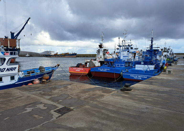 72. Madère, Caniçal, port de pêche