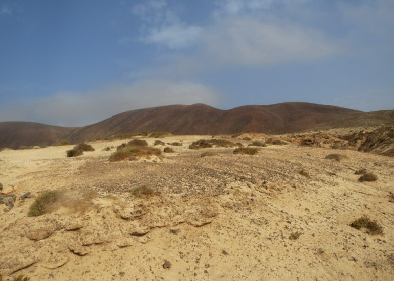 4. La Graciosa, morros de Pedro Barba