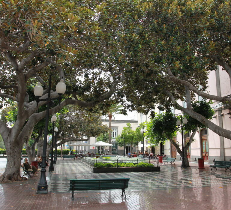 11. Las Palmas