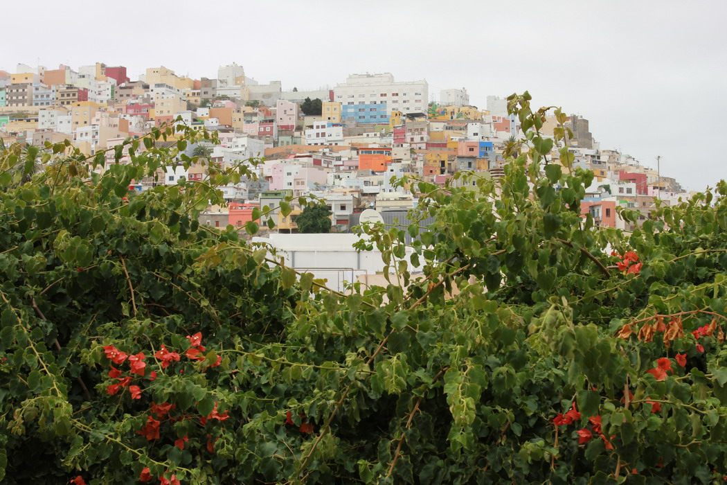 12. Las Palmas, quartier San Juan